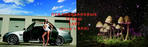 индика Вяземский