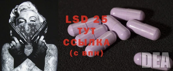 индика Вяземский