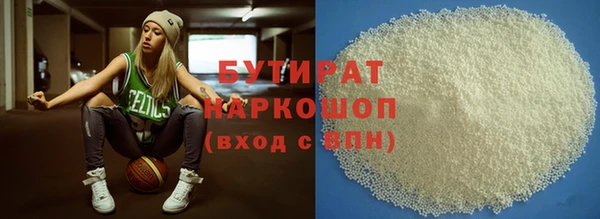 индика Вяземский