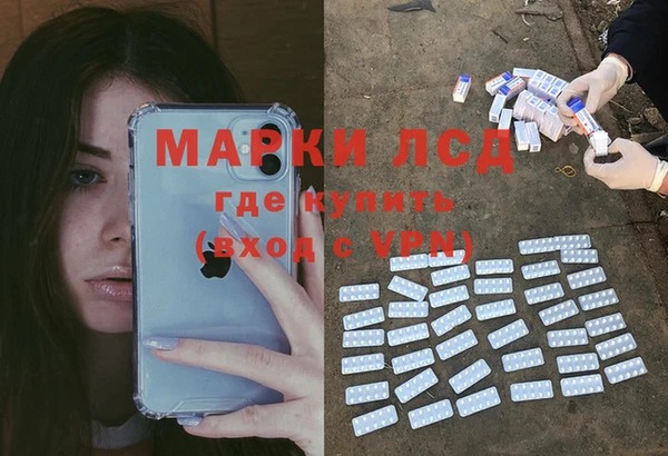 ПСИЛОЦИБИНОВЫЕ ГРИБЫ Вязники