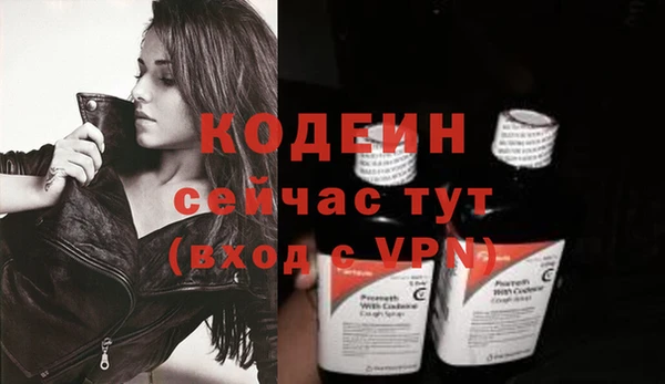 индика Вяземский