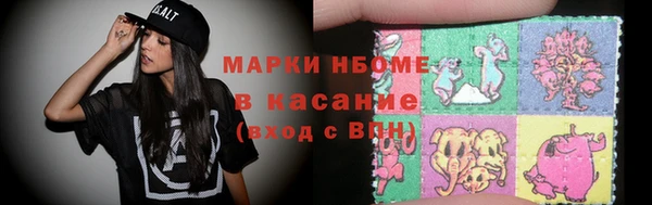 индика Вяземский
