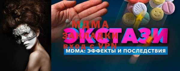 индика Вяземский
