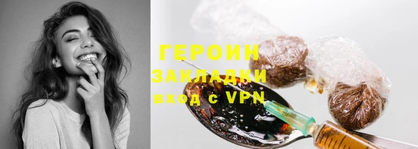 индика Вяземский