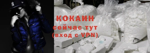 ПСИЛОЦИБИНОВЫЕ ГРИБЫ Вязники