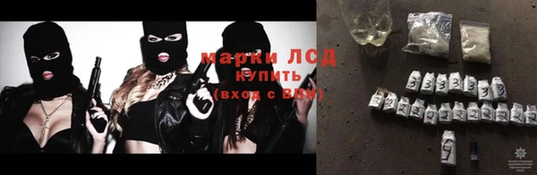 ПСИЛОЦИБИНОВЫЕ ГРИБЫ Вязники