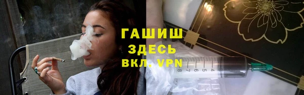 индика Вяземский