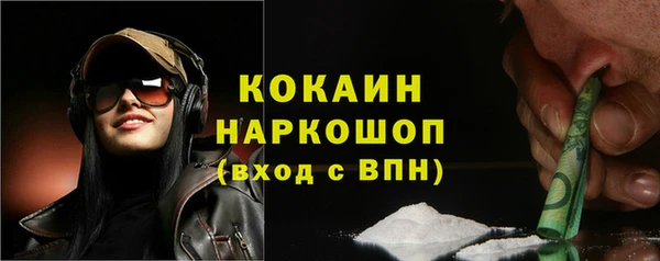 индика Вяземский