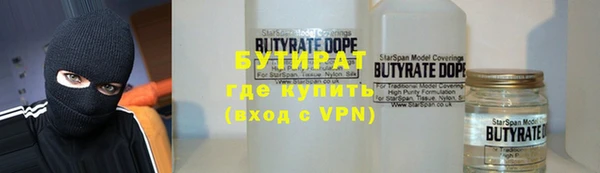 индика Вяземский