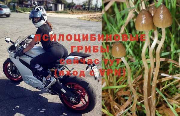 твердый Вязьма
