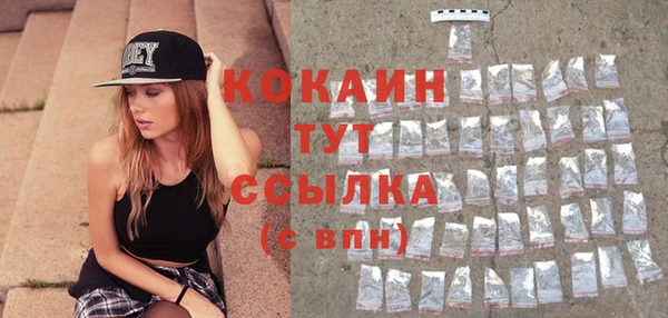 индика Вяземский