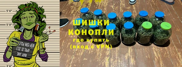 индика Вяземский