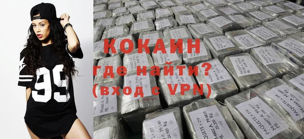 индика Вяземский