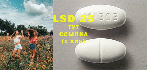 индика Вяземский