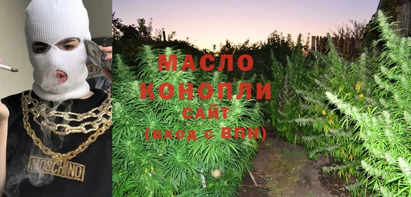 индика Вяземский