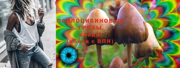 ПСИЛОЦИБИНОВЫЕ ГРИБЫ Вязники
