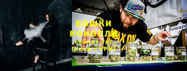 ПСИЛОЦИБИНОВЫЕ ГРИБЫ Вязники