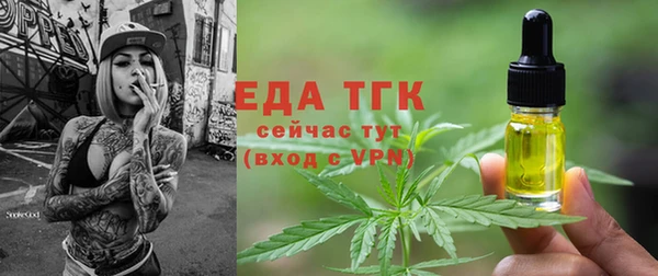индика Вяземский
